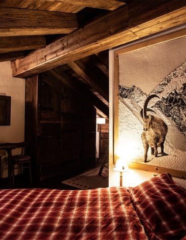 Lesmarmottes Cogne 16 Low